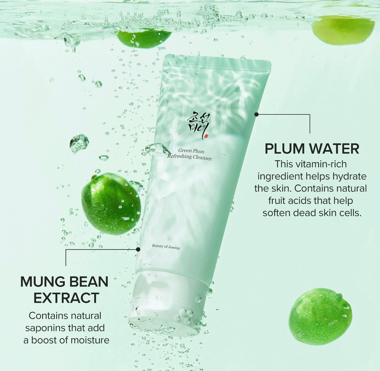 Green Plum Refreshing Cleanser
منظف البرقوق الأخضر المنعش، 3.38 أونصات سائلة (100 مل) - الصورة 4