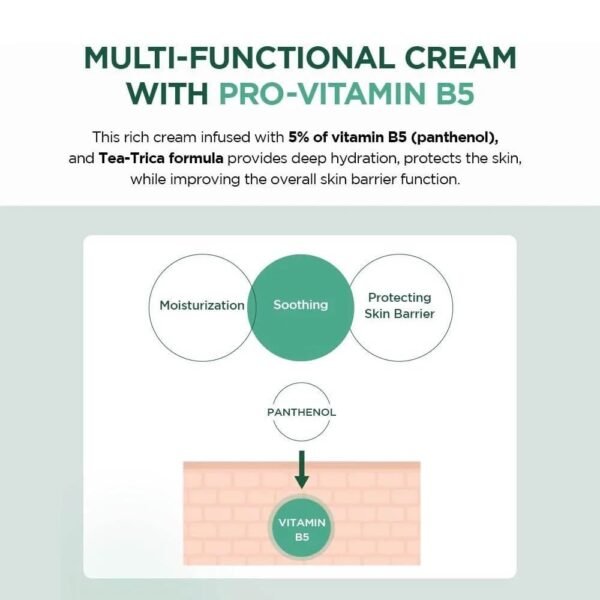 ⁦MADAGASCAR CENTELLA TEA-TRICA B5 CREAM 75 ml⁩ - الصورة ⁦2⁩